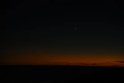 DSC_2574 (Large).JPG